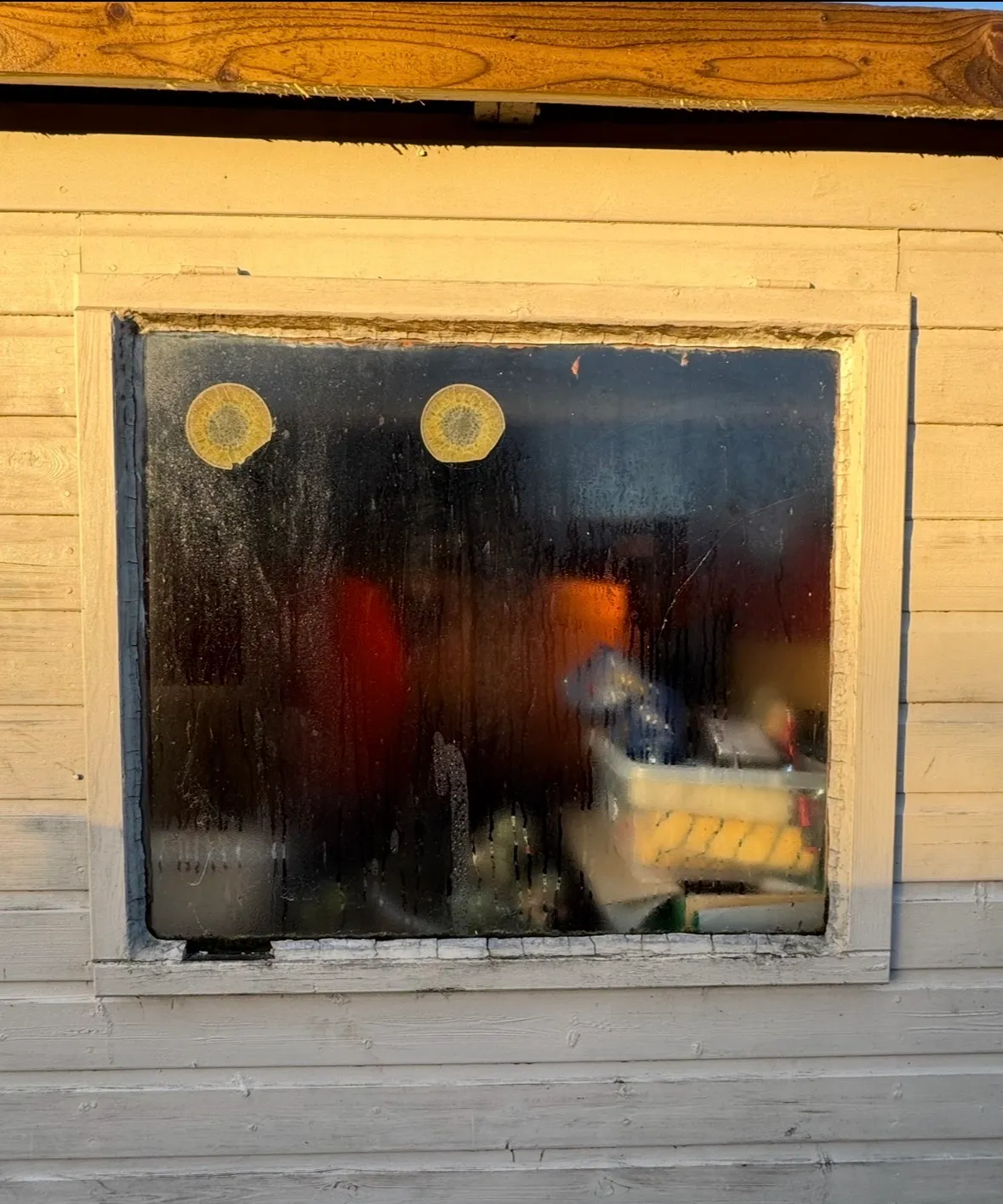 Rotten original window in the garden building before replacement