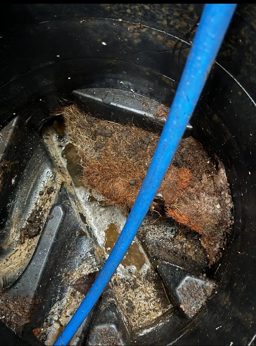 Blocked drain being cleared of debris