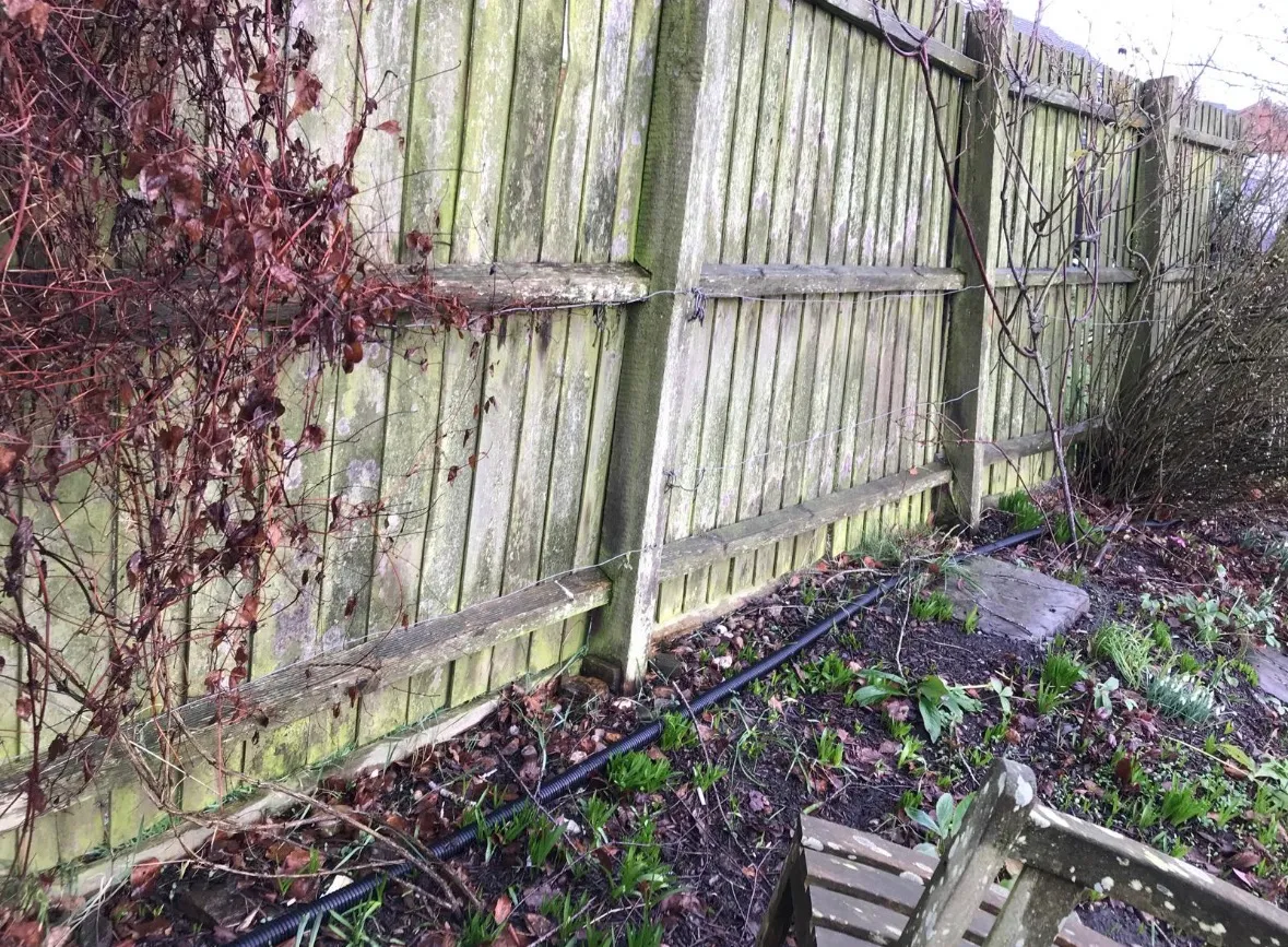 Repaired fence line running alongside the garden border