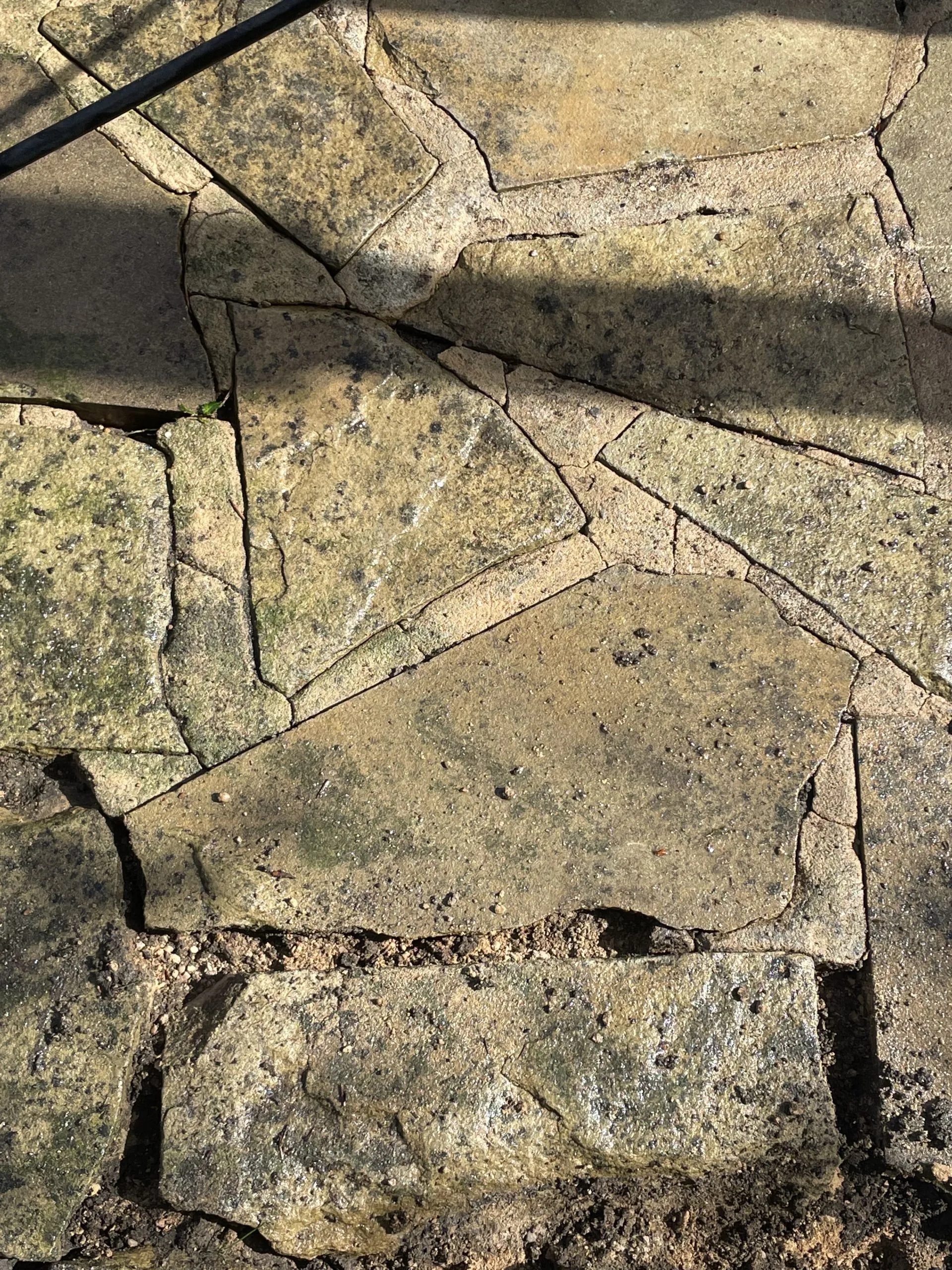 Close-up of freshly repointed joints in crazy paving