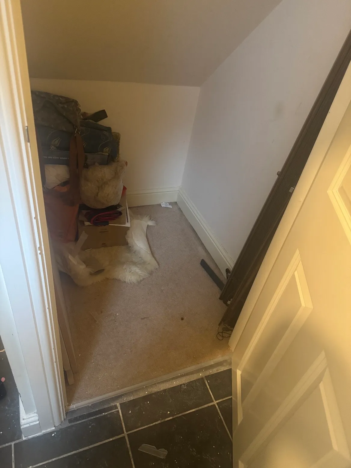 Fitted door front of the completed under-stairs storage