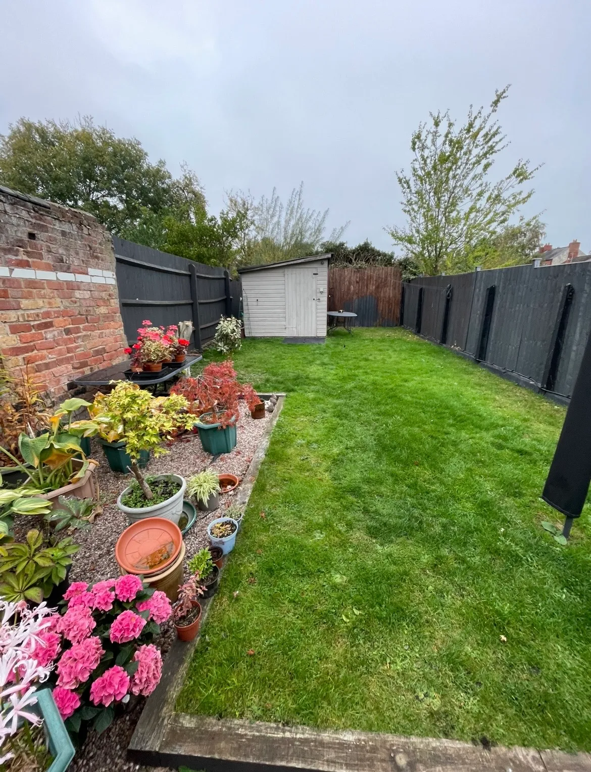 Lawn and planting in the garden after renovation