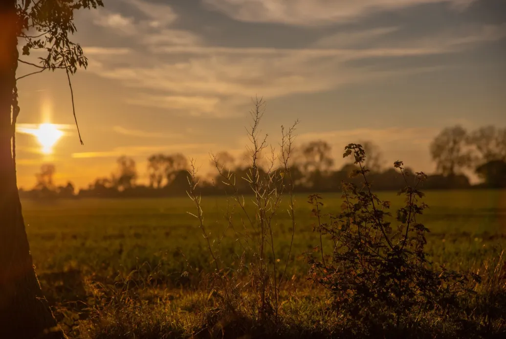 Open countryside at sunset near Ibstock