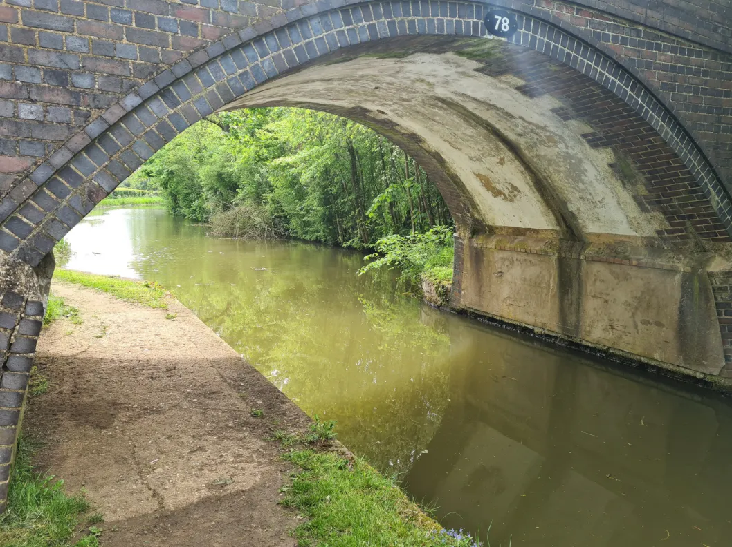 Canal bridge surrounded by greenery at Moira